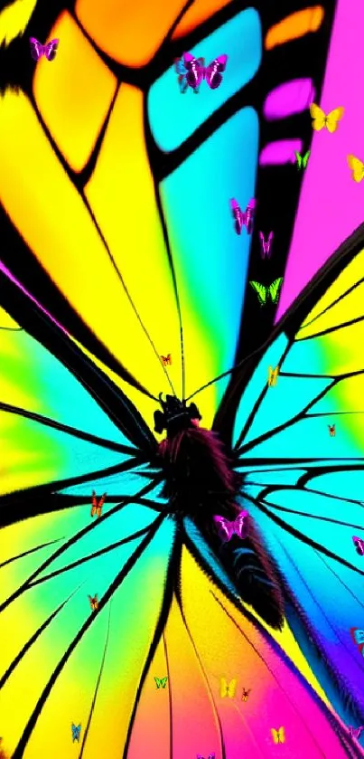 Colorful butterfly wallpaper with vibrant hues on a hot pink background.