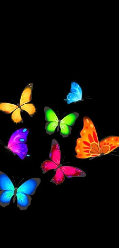 Vibrant butterfly design on a black background.