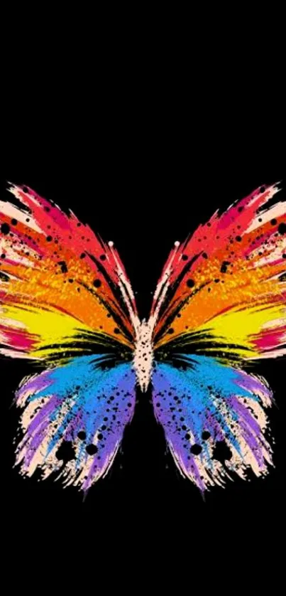 Colorful butterfly on black background wallpaper.