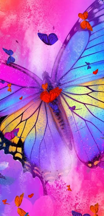Vibrant butterfly with colorful wings on a pink background.