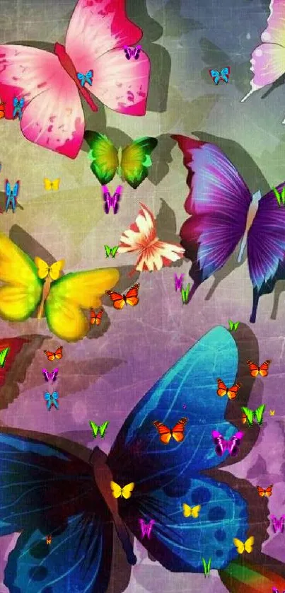 Colorful butterfly wallpaper with artistic design and vibrant hues.