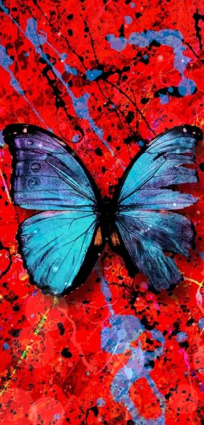 Blue butterfly on splashy red background wallpaper.