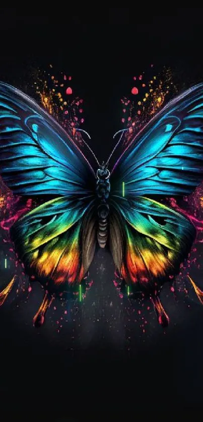 Vibrant butterfly with colorful wings on a dark background.