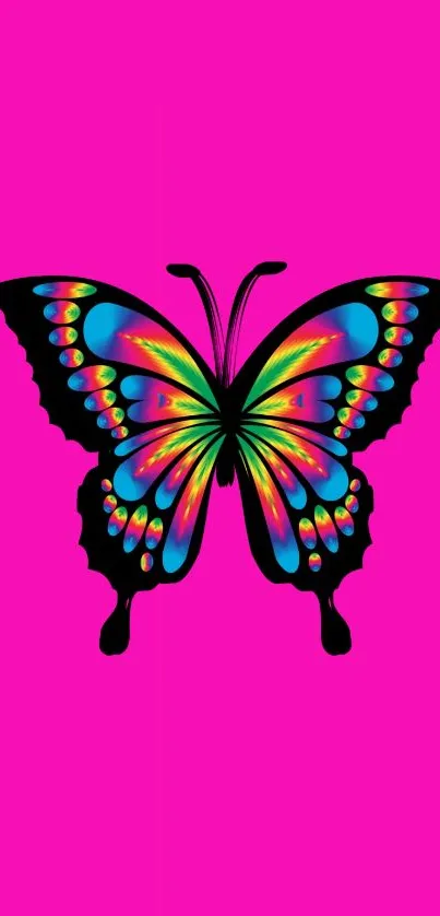 Vibrant multicolored butterfly on pink background art wallpaper.