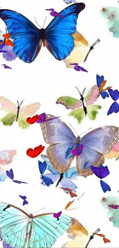 Colorful butterfly art on white background, designed for mobile screens.