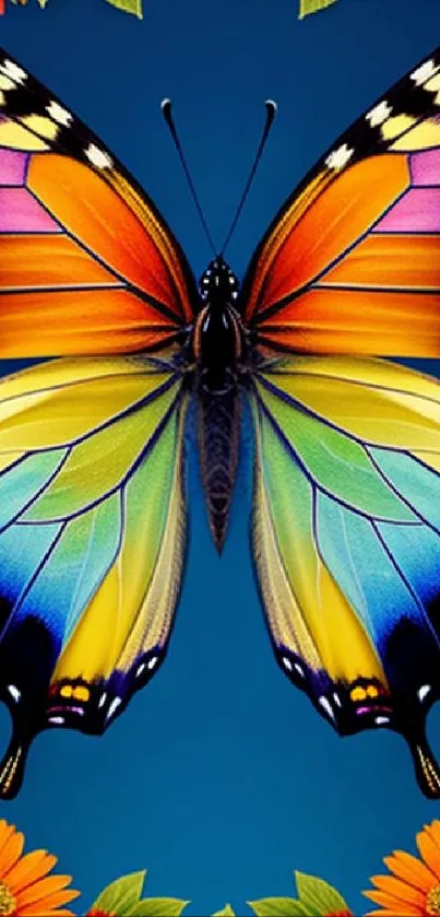 Vibrant butterfly with colorful wings on a blue background.