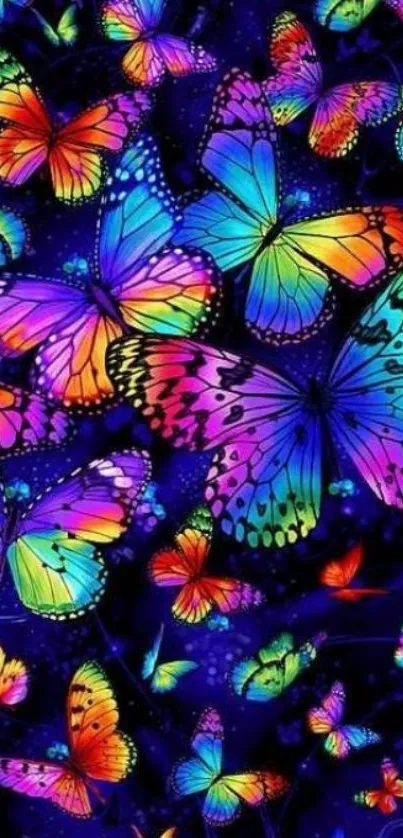 Colorful butterflies on black background.