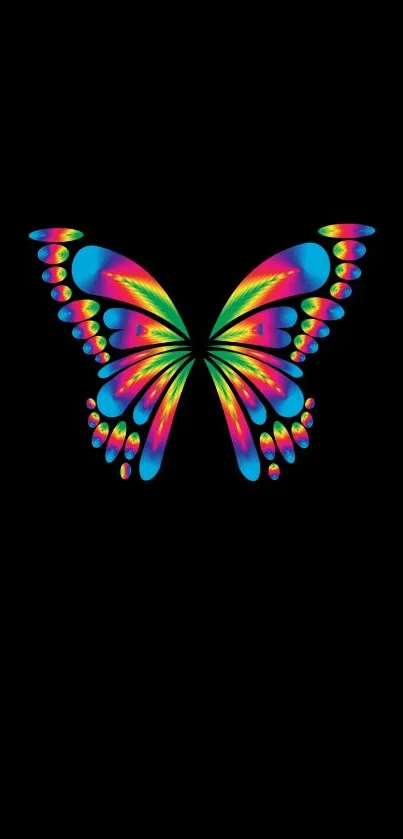 Colorful butterfly on black wallpaper, vibrant and artistic.