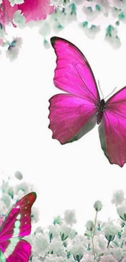 Pink butterflies with white blossoms wallpaper.