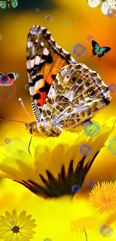 Butterfly on yellow flower wallpaper with colorful bubbles and blossoms.