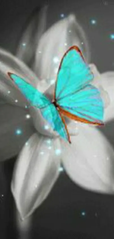 Blue butterfly on a monochrome flower wallpaper.