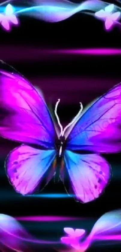 Vibrant butterfly encircled by colorful light swirls on a black background.