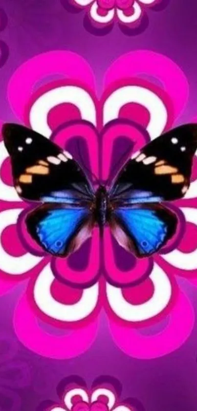 Colorful butterfly on floral purple background wallpaper.