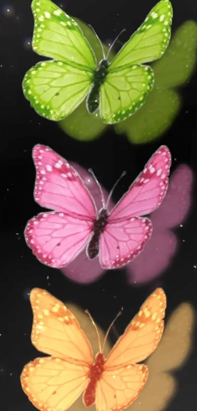 Three vibrant butterflies on a black background.