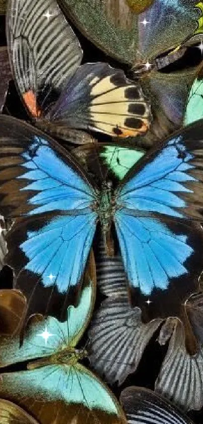 Vibrant blue butterfly in a colorful display of nature.