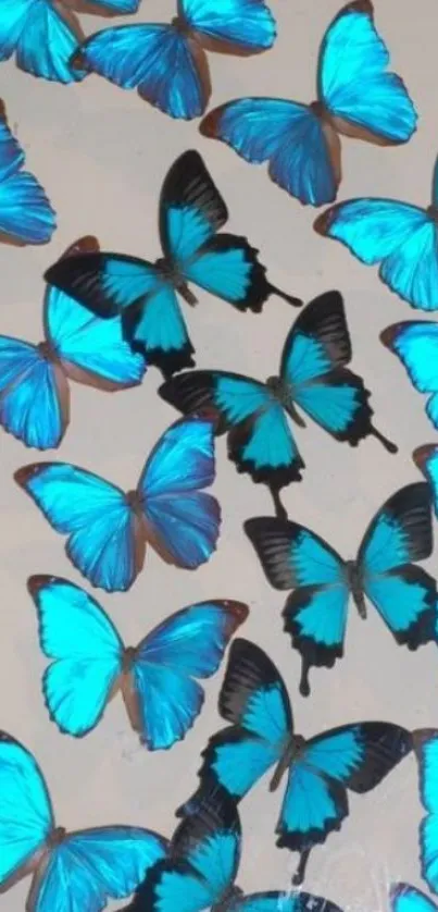 Vibrant cyan blue butterflies on a serene background.