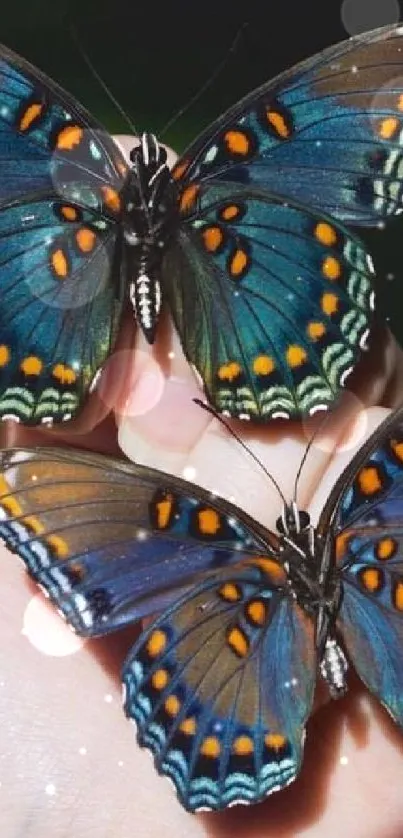 Two vibrant butterflies resting on a hand, showcasing intricate patterns.