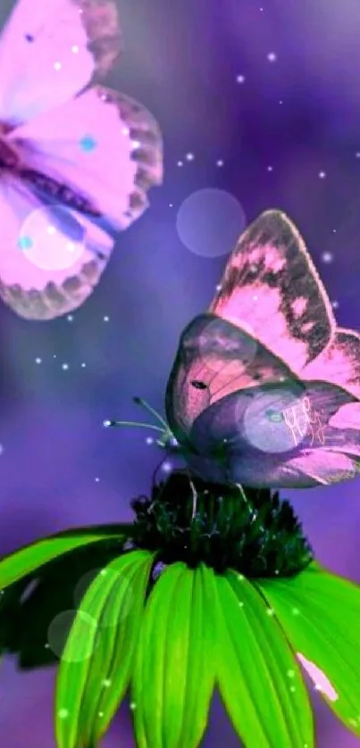 Vibrant butterflies with a purple and green floral background.