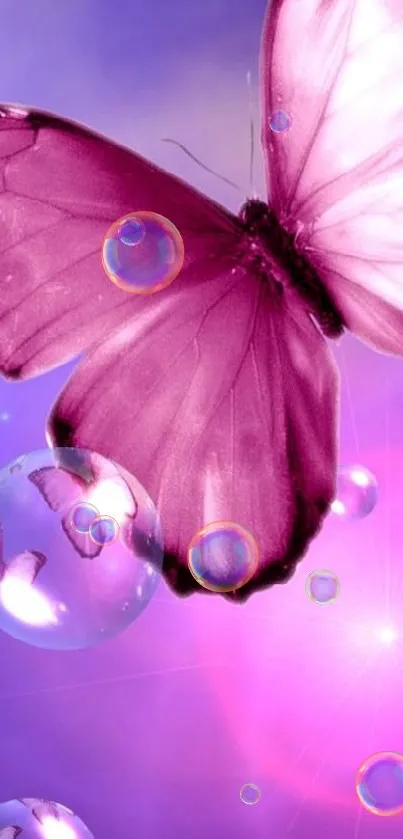 Purple butterfly and bubbles on a pink dreamy background.