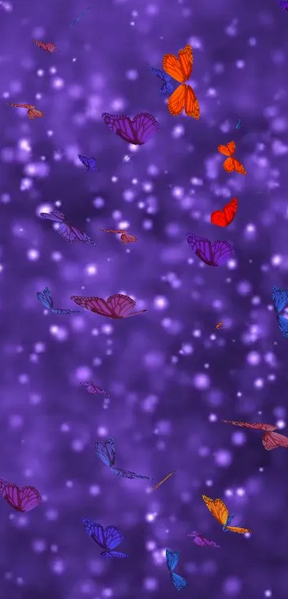 Colorful butterflies on a purple galaxy background.