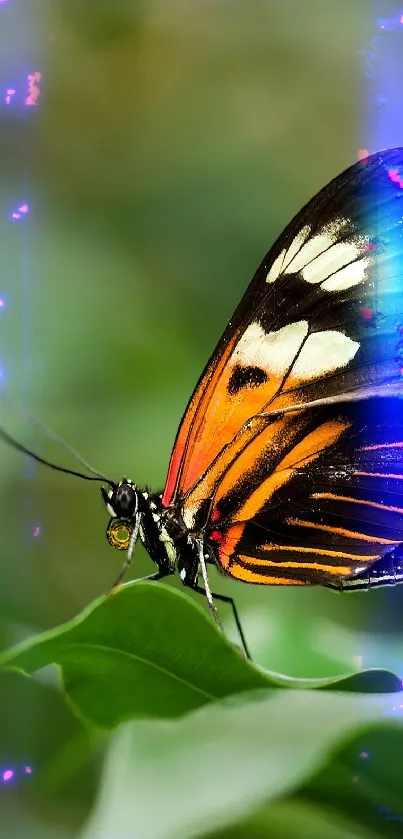 Butterfly with vibrant neon glow on green leaves, creating a fantasy theme.