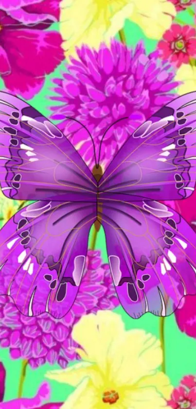 Vibrant purple butterfly on colorful floral background.