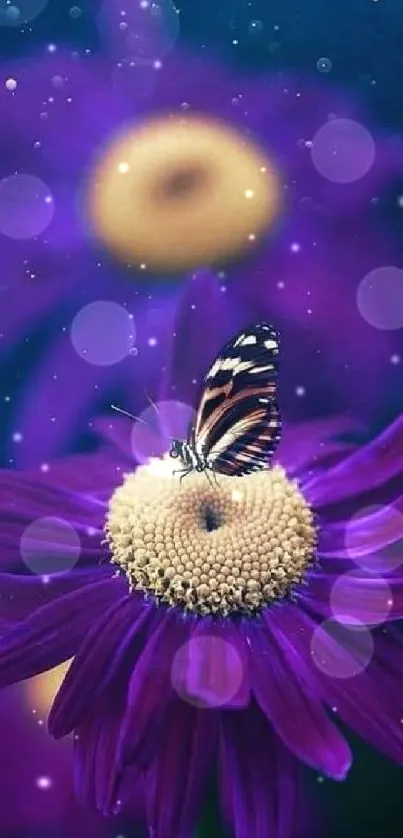 A butterfly on a purple flower with a dreamy background.