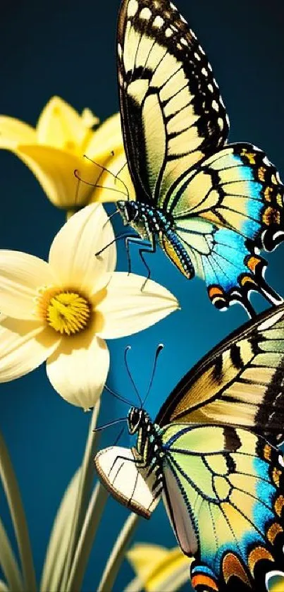 Colorful butterfly perched on a yellow daffodil with a blue background.