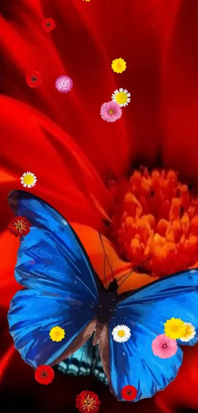 Bright blue butterfly on red flower with small colorful blossoms.