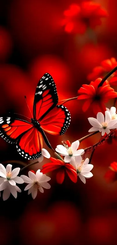 Vibrant butterfly and flowers wallpaper in red and white hues.