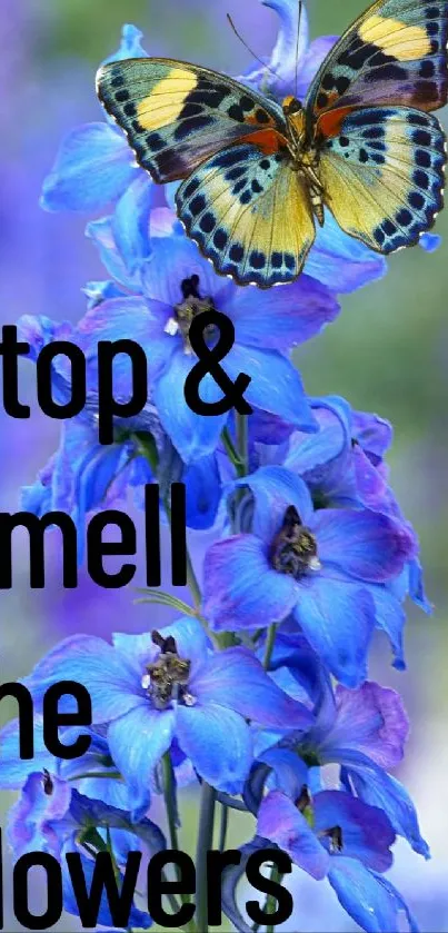 Butterfly rests on vibrant blue flowers with calming text.