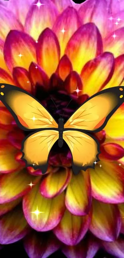 Colorful butterfly on a dahlia flower wallpaper.