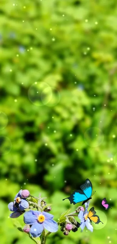 Butterflies on vibrant flowers with a green backdrop.