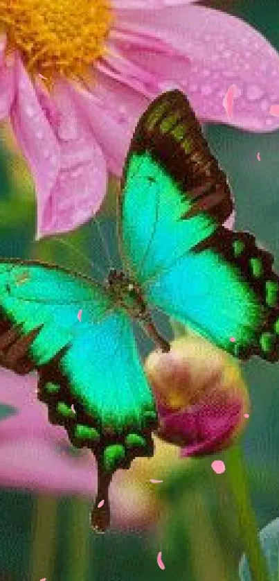 Green butterfly on pink flower with vibrant colors.