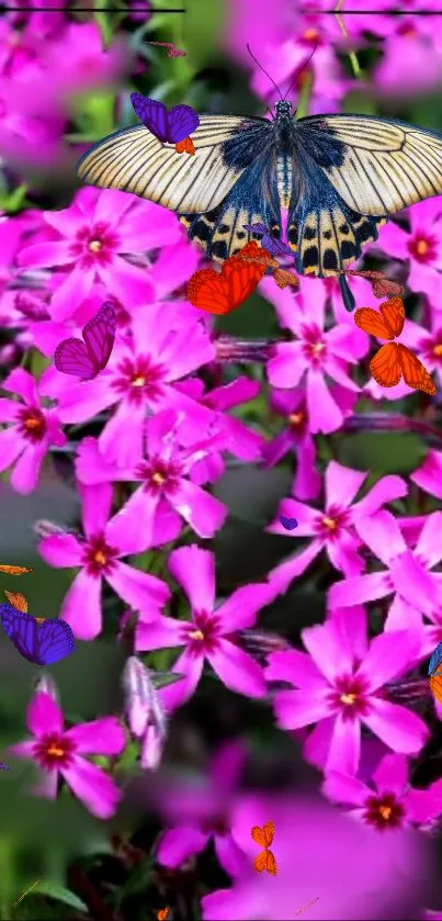 Vibrant pink flowers with butterflies wallpaper.