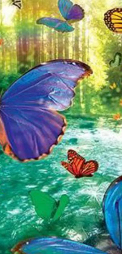 Colorful butterflies flying in a green forest.