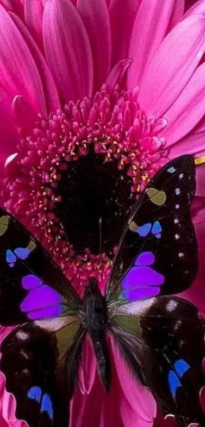 Vibrant butterfly on pink flower wallpaper.