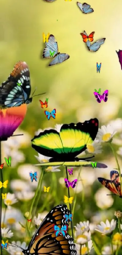 Colorful butterflies flutter in a vibrant flower garden.