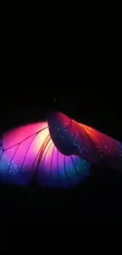 Vibrant butterfly with glowing neon colors on a dark background.