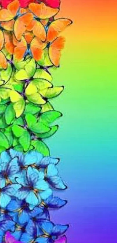 Vibrant butterfly wallpaper with rainbow gradient.