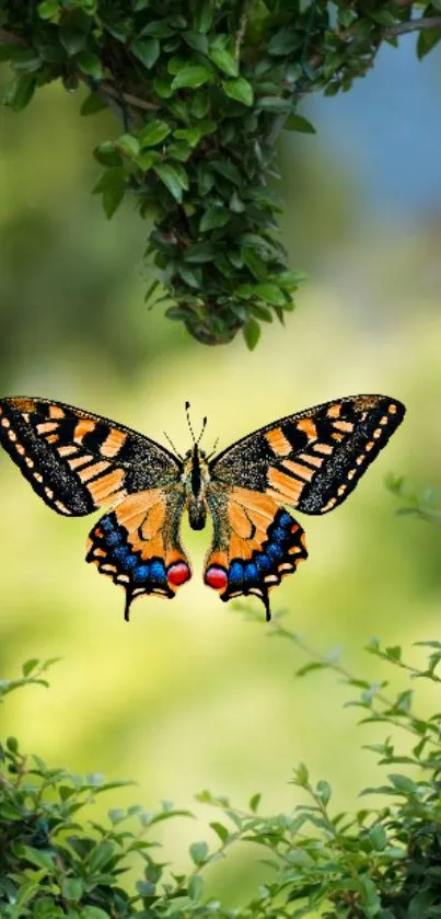 Colorful butterfly surrounded by lush green leaves