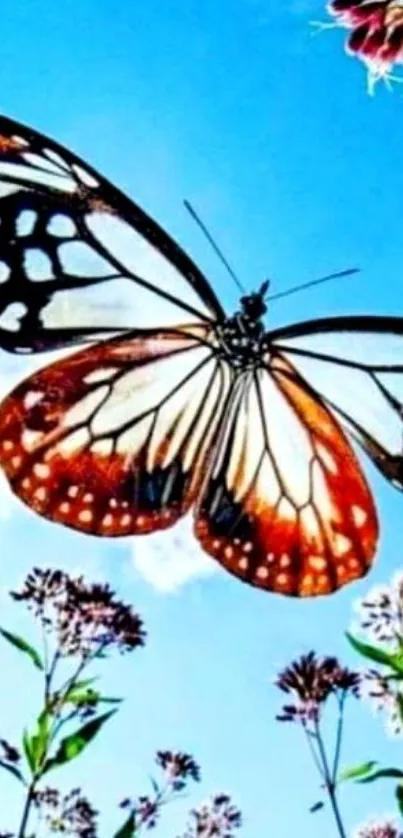 Vibrant butterfly flying in a bright blue sky surrounded by colorful wildflowers.