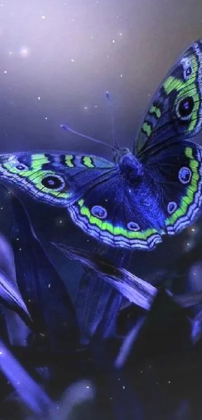 Vibrant butterfly glowing in twilight with deep blue and green hues.