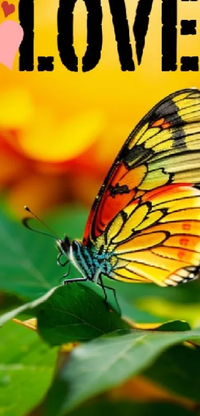 Colorful butterfly on leaves with love text in background.