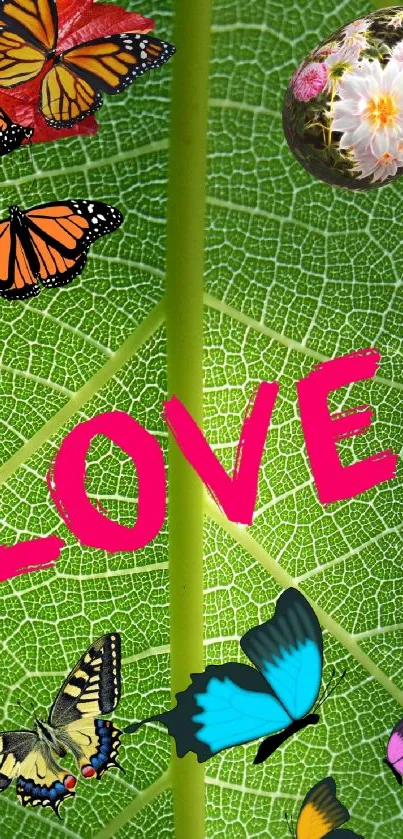Colorful butterflies on a vivid green leaf with 'Love' text in pink.