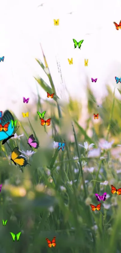 Vibrant butterflies fluttering over a green meadow with white flowers.