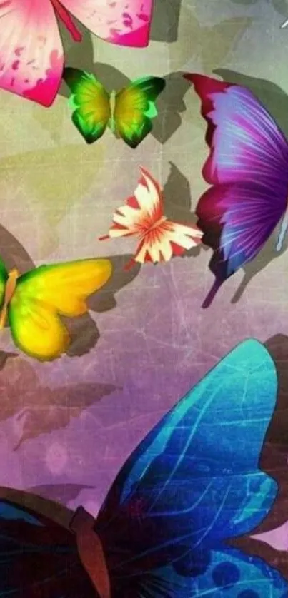 Vibrant mobile wallpaper with colorful butterflies and artistic shadows.