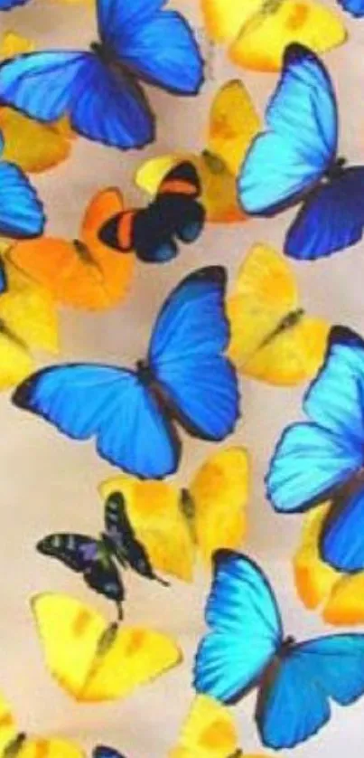 Blue and yellow butterfly mobile wallpaper.