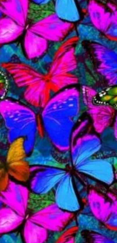 Vibrant blue and pink butterfly wallpaper for mobile devices.