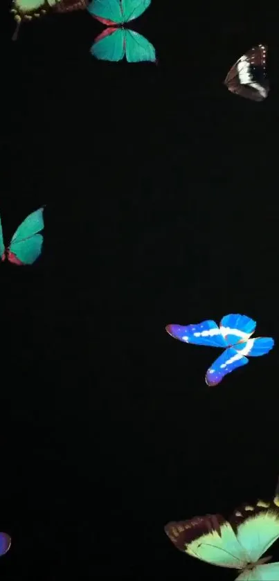 Colorful butterflies on a black background mobile wallpaper.